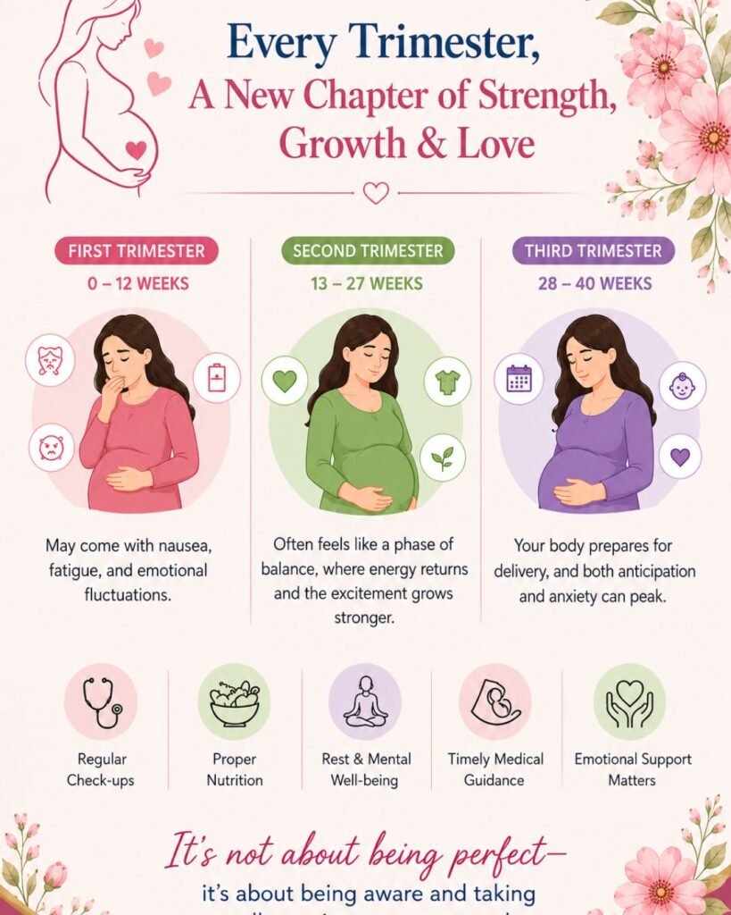 Pregnancy trimester guide infographic showing first, second, and third trimester stages with symptoms, emotional changes, and healthy pregnancy care tips